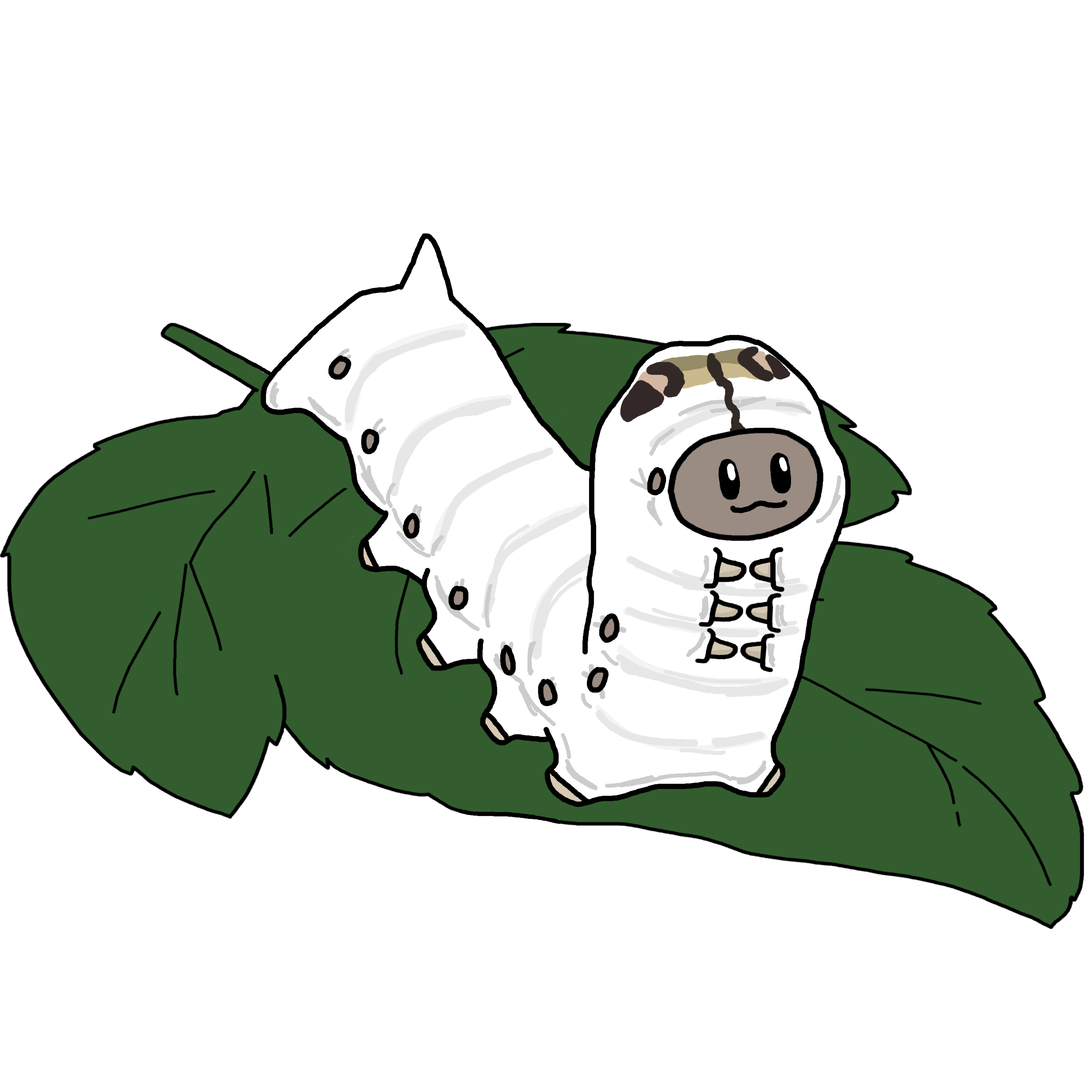 누에 그림 대회 예고 이미지
